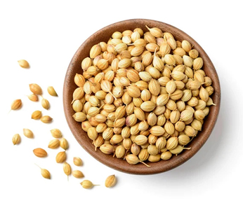 Misty Coriander Seeds