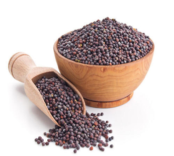 Misty Mustard Seeds
